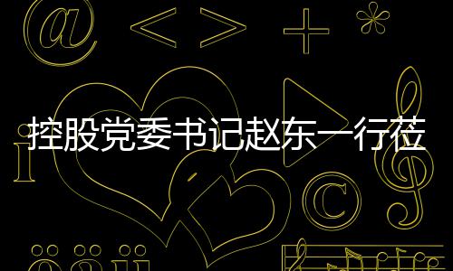党委环境工作书记赵东指导一行控股莅临
